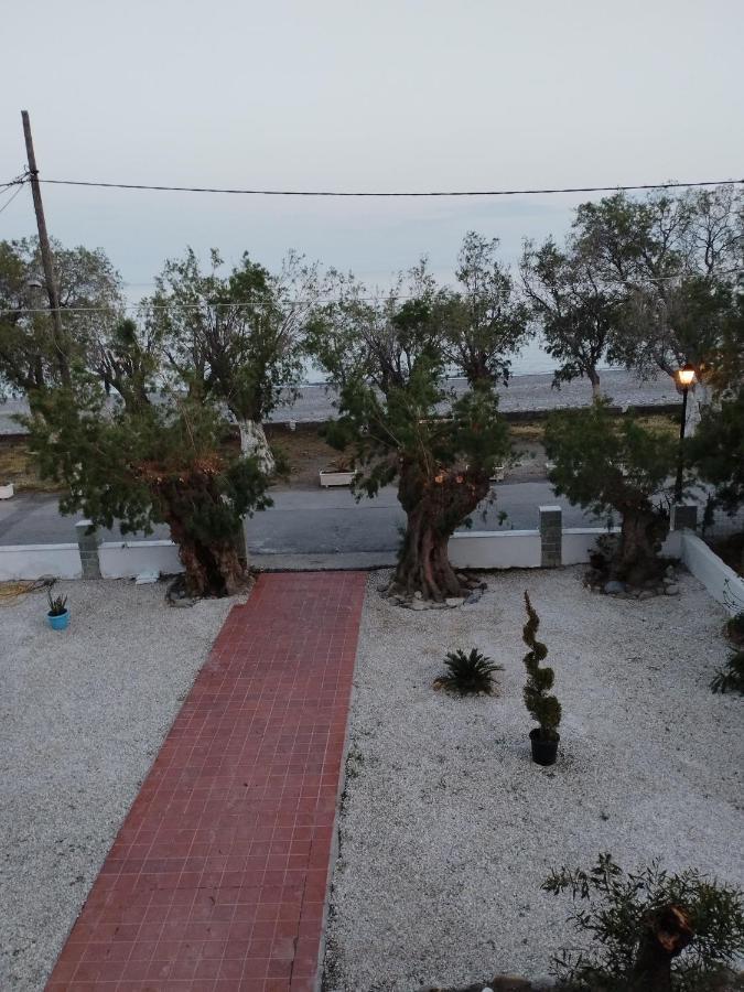 Zorbas Hotel ซูเยีย ภายนอก รูปภาพ